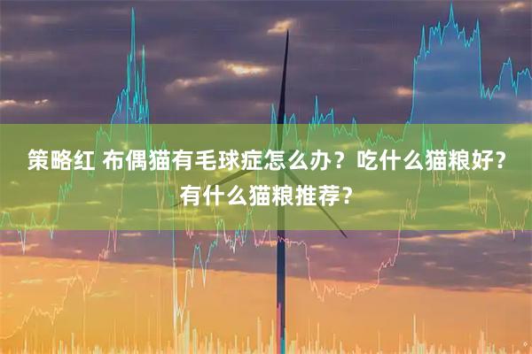 策略红 布偶猫有毛球症怎么办？吃什么猫粮好？有什么猫粮推荐？