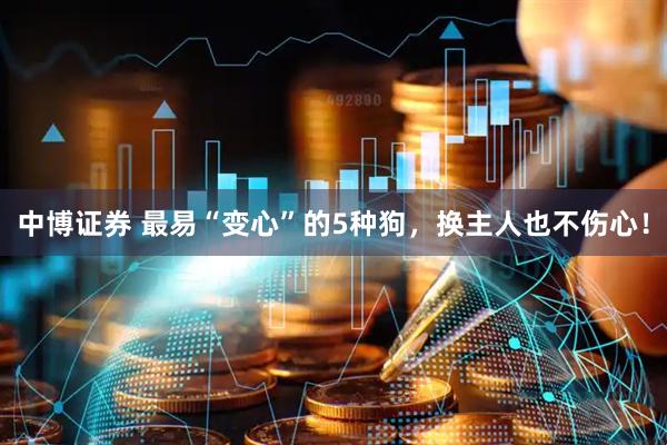 中博证券 最易“变心”的5种狗，换主人也不伤心！