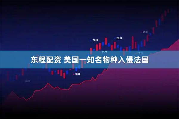 东程配资 美国一知名物种入侵法国