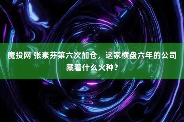 魔投网 张素芬第六次加仓，这家横盘六年的公司藏着什么火种？