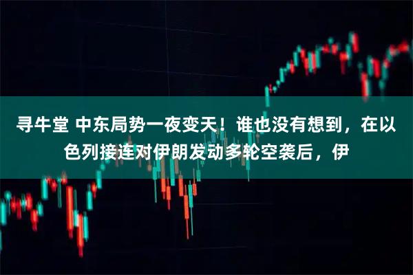 寻牛堂 中东局势一夜变天！谁也没有想到，在以色列接连对伊朗发动多轮空袭后，伊