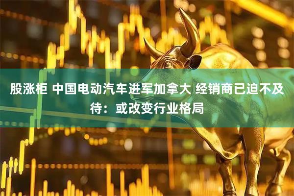 股涨柜 中国电动汽车进军加拿大 经销商已迫不及待：或改变行业格局