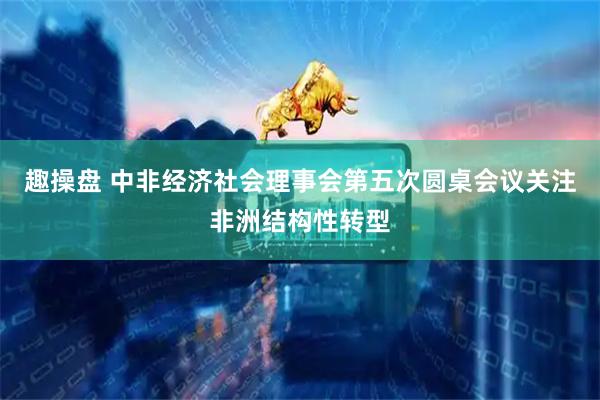 趣操盘 中非经济社会理事会第五次圆桌会议关注非洲结构性转型