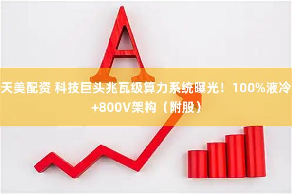 天美配资 科技巨头兆瓦级算力系统曝光！100%液冷+800V架构（附股）